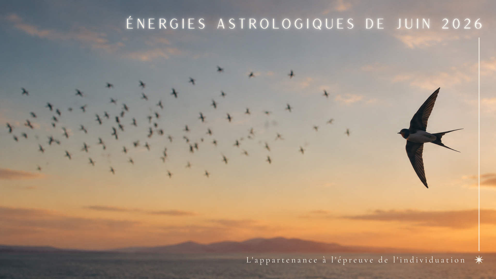 Nuée d'hirondelles et hirondelle solitaire symbolisant l'appartenance et l'individuation dans les énergies astrologiques de juin 2026
