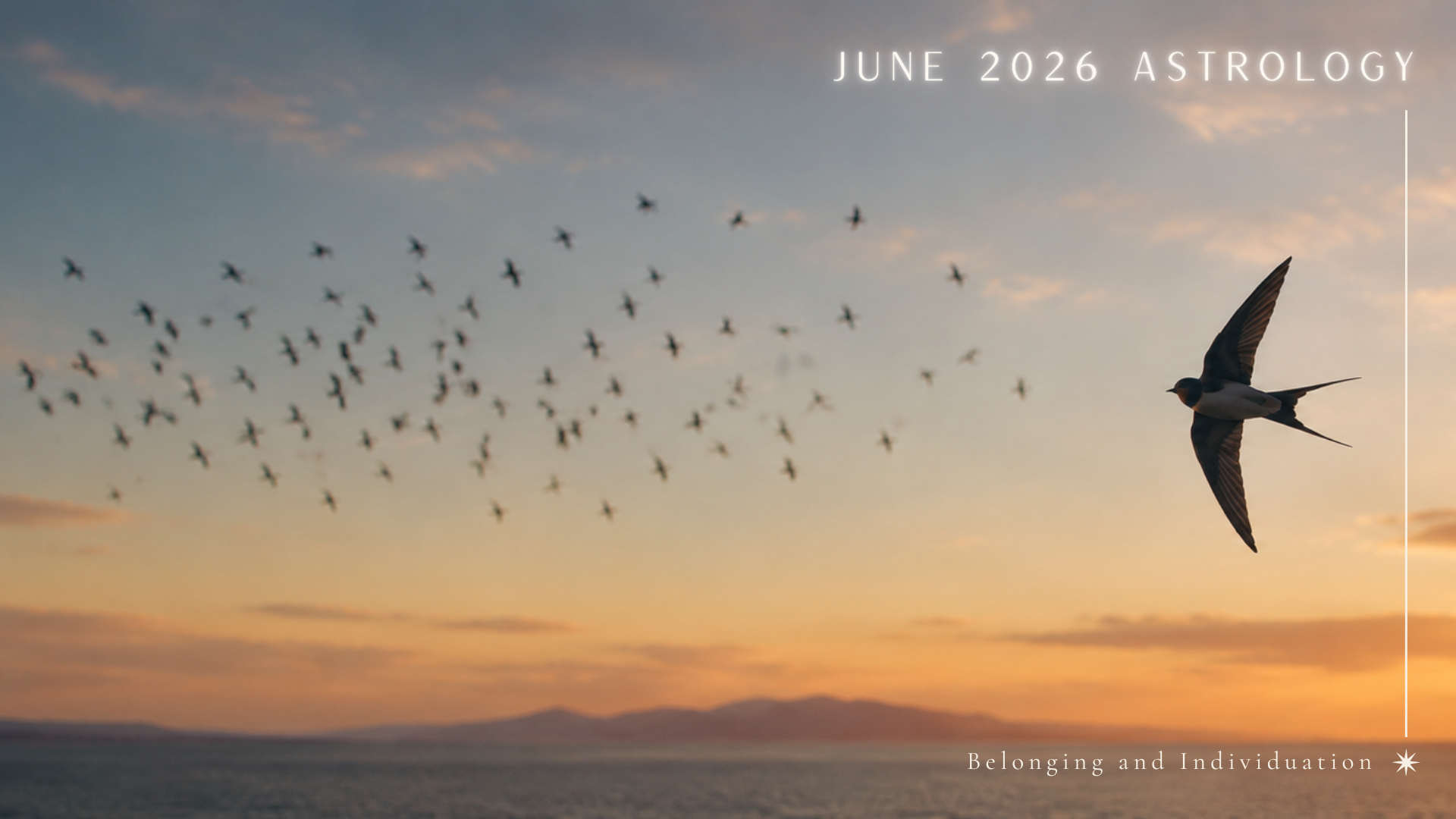 A flock of swallows and a solitary swallow symbolising belonging and individuation in June 2026 astrology.